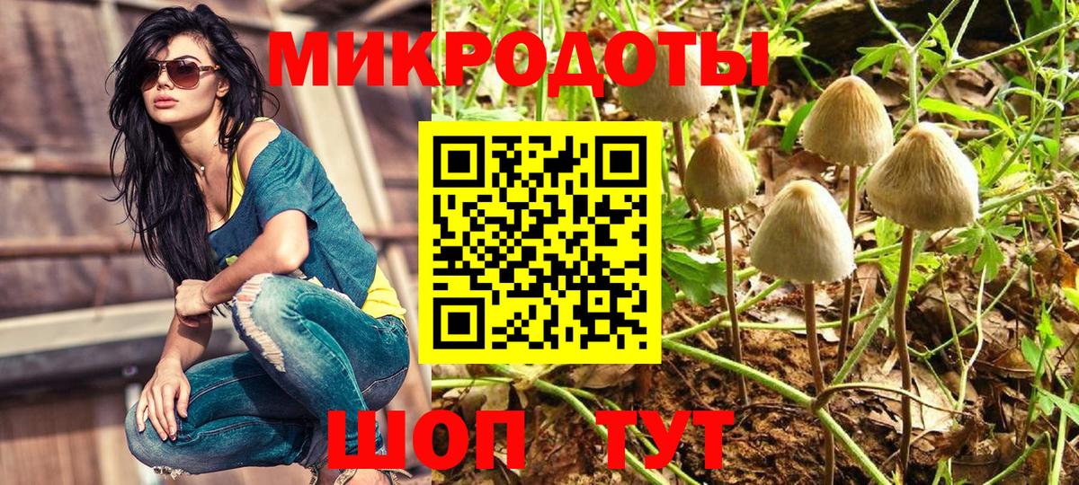 Галлюциногенные грибы мицелий Щёлково